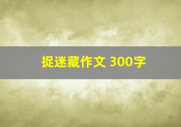 捉迷藏作文 300字